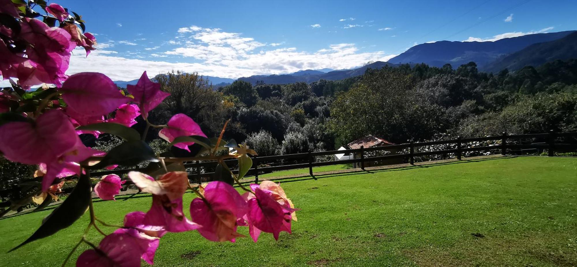 누에바데엘라네스 El Corral Del Acebo 게스트하우스 외부 사진